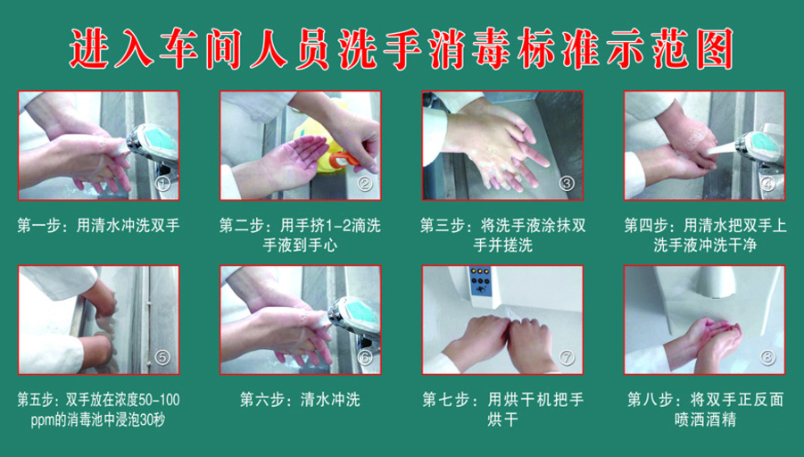 Enter the workshop personnel to wash their hands and disinfect the wall chart) Five, six, seven steps to wash their hands) Hospital publicity wall chart poster