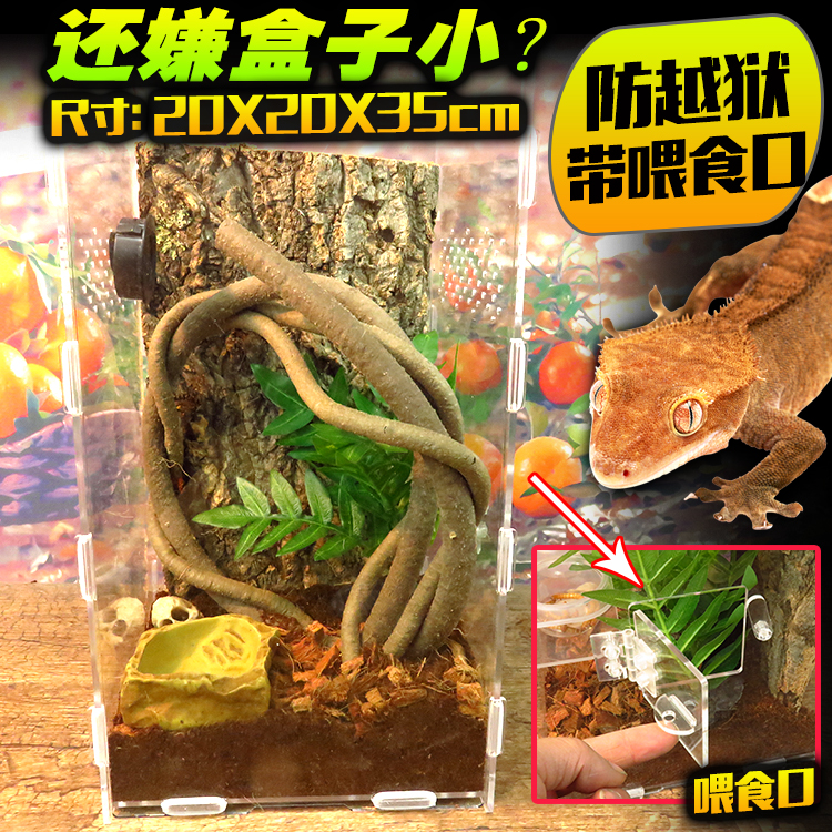 Acrylic reptile feeding box High box Sapphire gorgeous rainforest spider eyelash angle Palace master tree frog feeding box