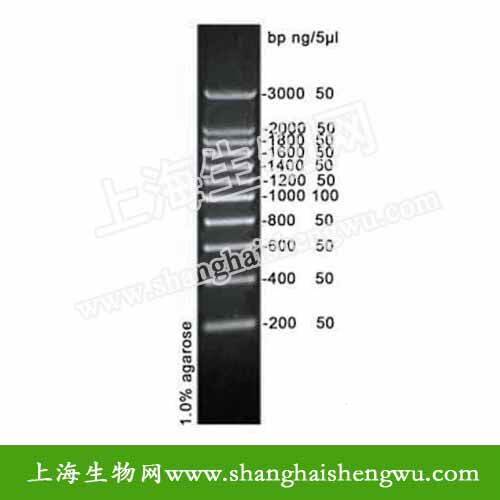 DL200  50T 250ul DNA Marker DNA分子量标准 R04017 核酸电泳