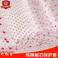 Guo pha chế bông lưới gạc bao gồm quilt lót bông chăn che nhíp lõi tay áo bông pad bìa tay áo chăn lông vũ everon