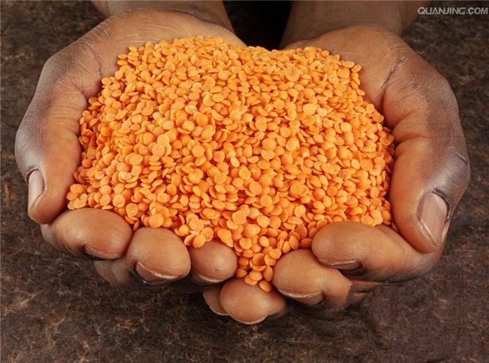 INDIAN FOOD INDIAN FOOD CURRY RED LENTILS MASOOR DAL RED LENTILS