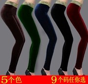 Mùa thu đông 2019 mới của phụ nữ quần legging nhung vàng cao eo mặc cùng quần nhung dày dày chân XL - Quần tây thường