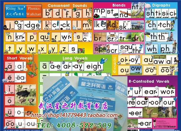 Genuine Pinyin Phonics natural pinyin Phonotone Phonotone chart wallchart available on demand machine 2 specifications optional