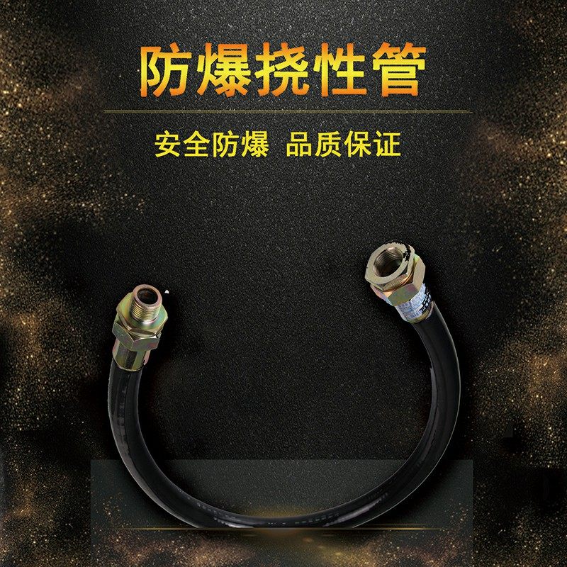 BNG explosion proof flexible connection tube DN15 20 25 25 40 40 50 50 hose wear tube