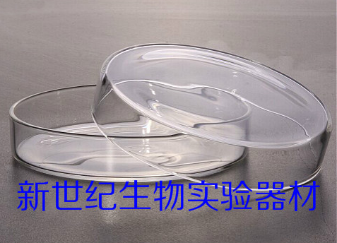 玻璃培养皿35mm 细菌培养玻璃平皿 上海五一 原厂正品