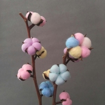 Cotton dried flower bouquet colorful kapok natural eternal flower home furnishings wedding decoration shooting props kapok