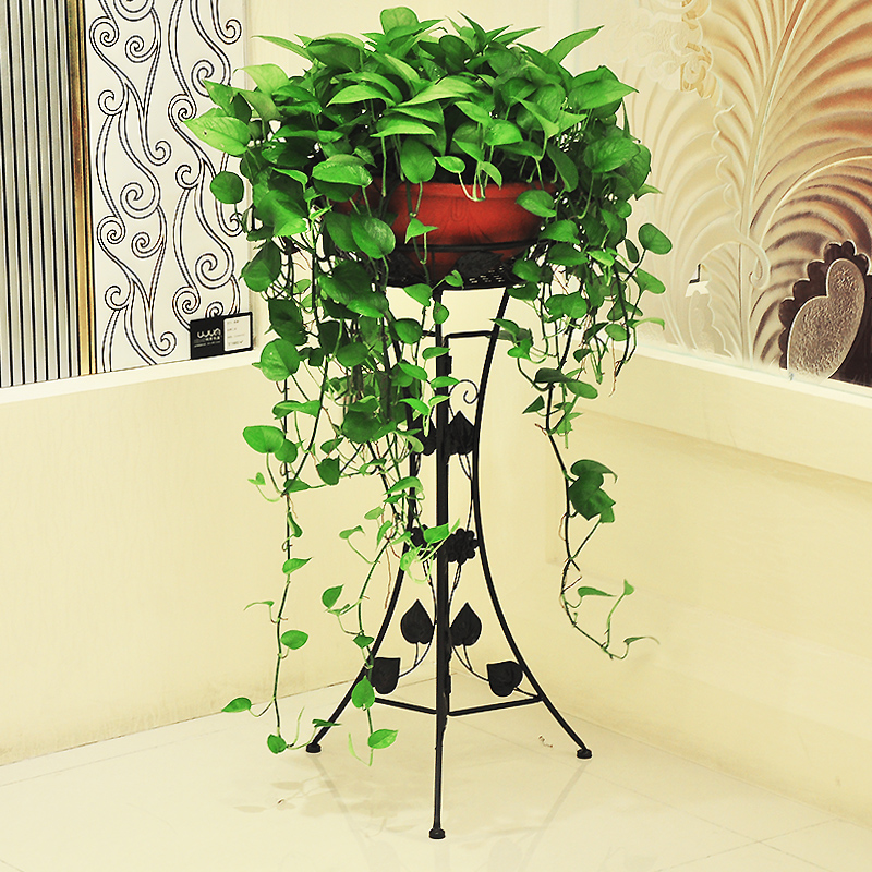 �����������ʽ����11003