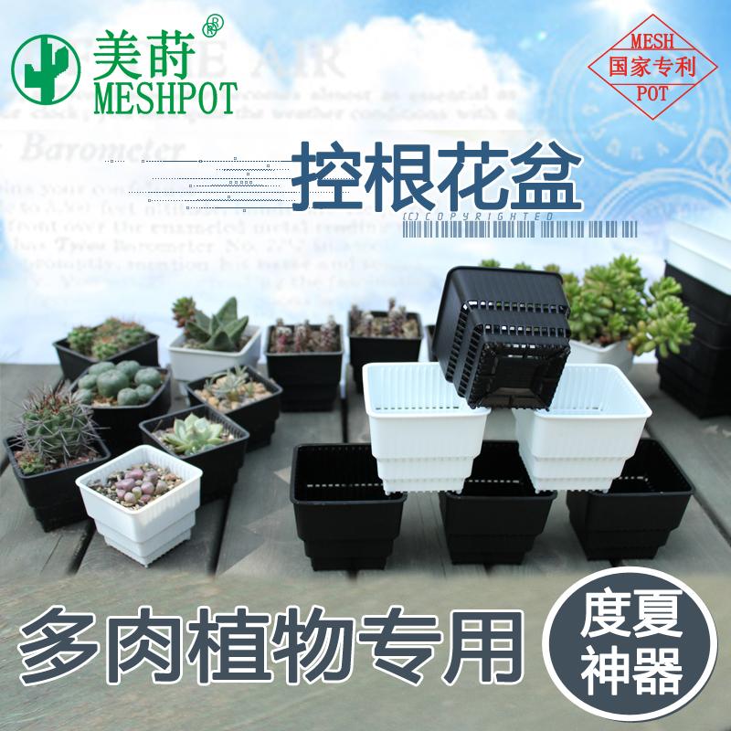 Mei Dill Root Root Flower Pot Multi - Meat Cactus Pulp Growing Pervasible Breath Promoting Prosperity Pot