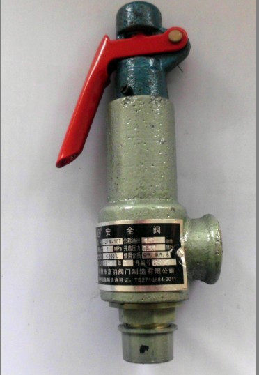 Manual safety valve stainless steel check valve dry cleaning equipment boiler steam generator accessories