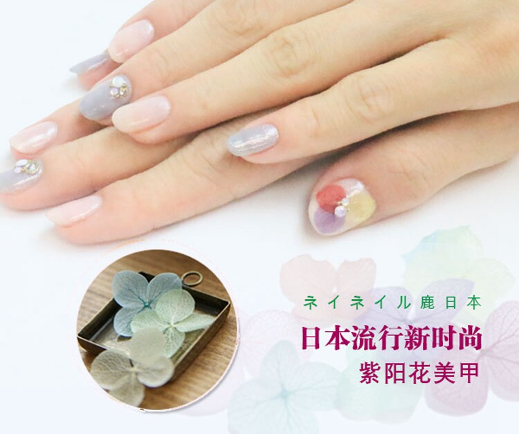 日系美甲饰品彩色花瓣紫阳花干花永生花指甲DIY装饰光疗甲贴饰花