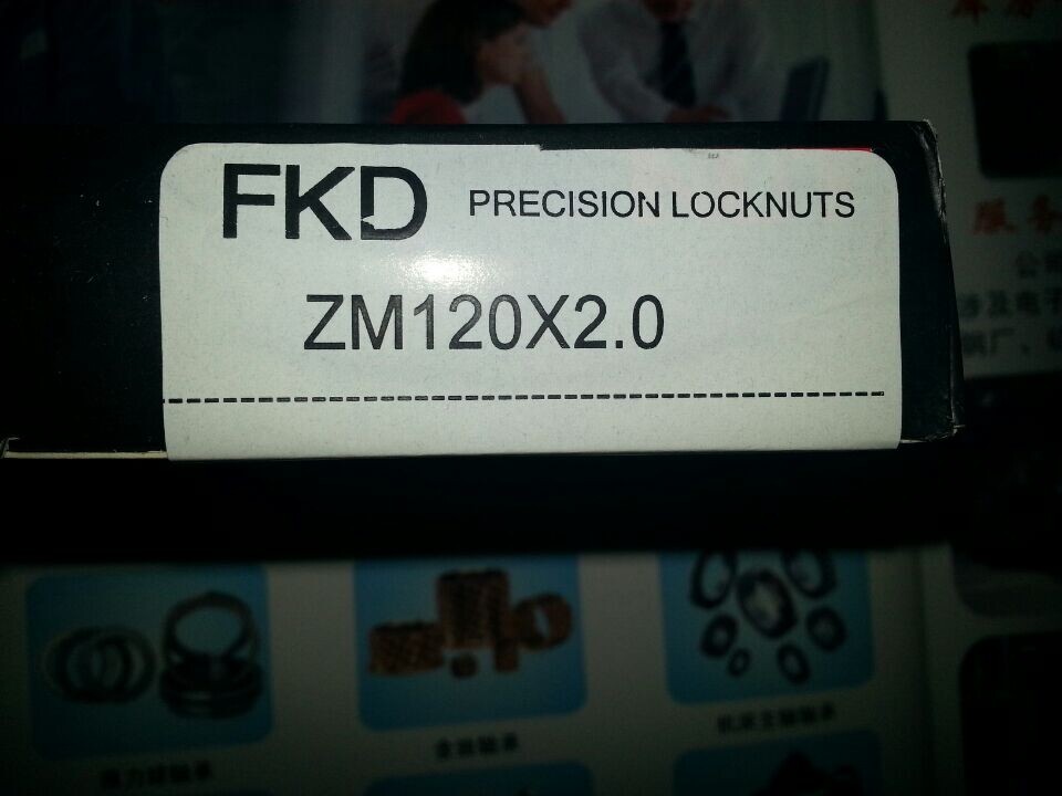 ZM30 Precision Locking Nut FKD
