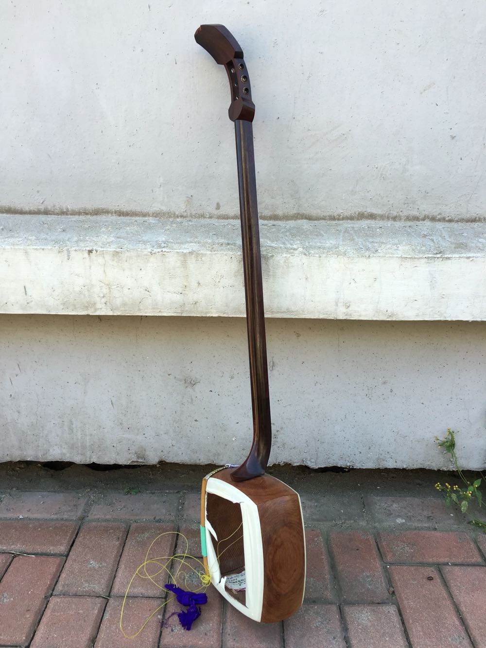 Japanese reflux shamisen three flavor glands