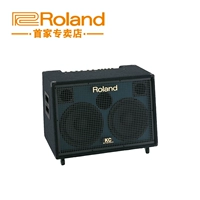 Spot Roland Roland KC880 Стерео динамик клавиатуры Roland KC-880 Динамик клавиатуры