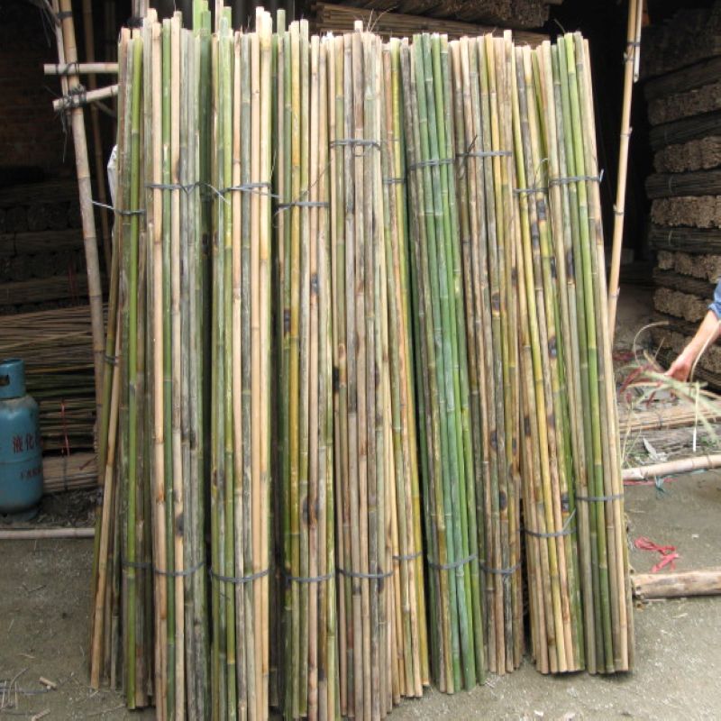 Coarse Bamboo Rod Large Hairy Bamboo Rod Vegetable Garden Hitchhiking Slim Bamboo Pole Courtyard Decoration Fence Bamboo Fence Engineering Gross Bamboo Rod