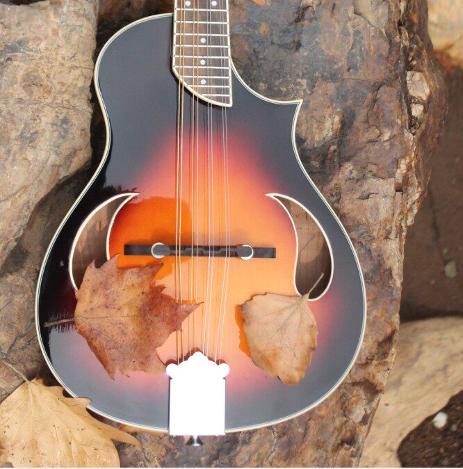 Mandolin FM-JA mandolin mandolino Handmade for beginners easy to learn feeling Factory Direct sales