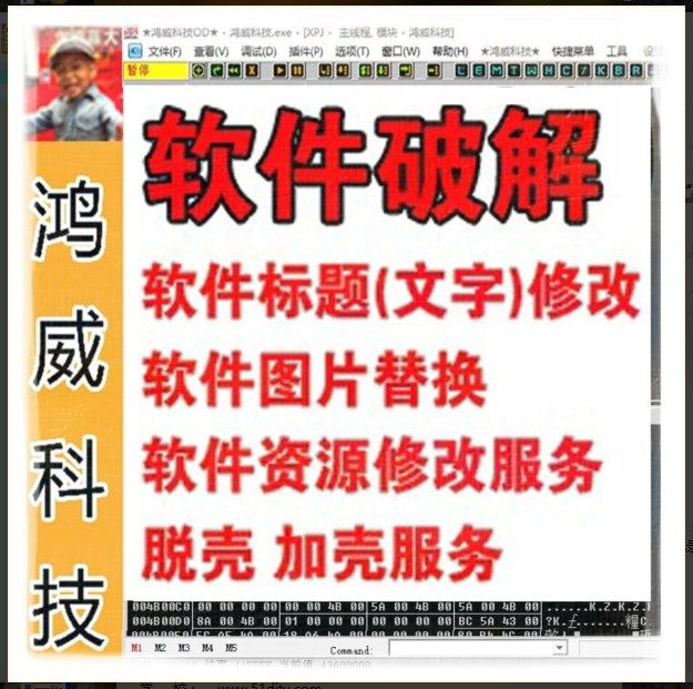 Software cracking services industry software to crack EXE file photo replacement software resources modification