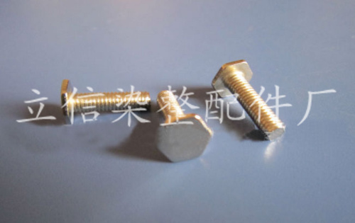 Screw Lixin door Fuji needle plate screw production manufacturer