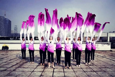 Practice Gongfu Tibetan Dance Performance Costume National Classical Dance Practice Water Cuff Square Dance National Long Sleeve Dress