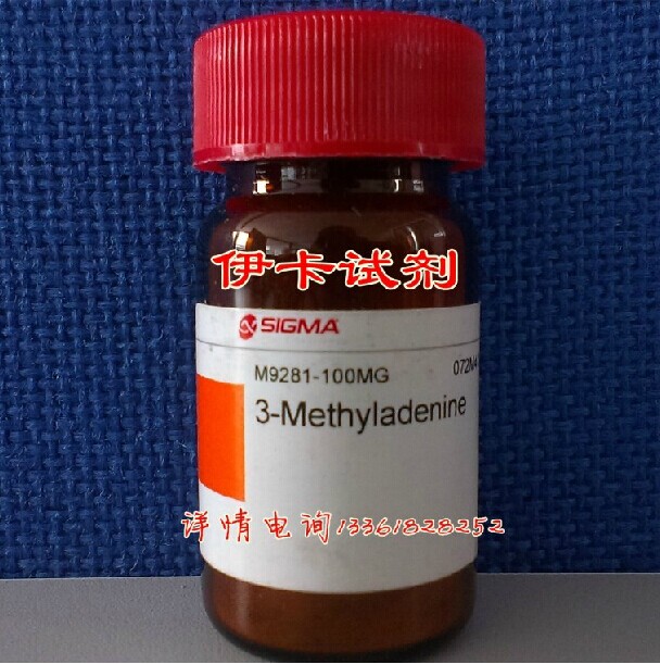SIGMA试剂 3-甲基腺嘌呤/3-Methyladenine/6-氨基-3-甲基嘌呤99%