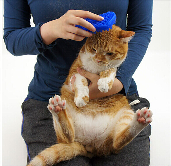 宠宠熊/Mr.bear短毛猫硅胶粘毛刷 猫咪除毛梳子去浮毛按摩洗澡刷