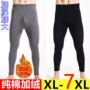 Mùa thu đông cao eo nam siêu rộng size rộng quần ấm, dày một mảnh cotton cộng với quần nhung dài cộng với quần béo quần giữ nhiệt nam đá bóng