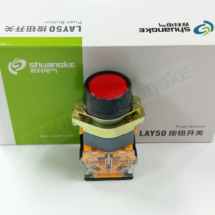 Jiangsu Shuangke electric LAY50-22AA1-11 touch flat button self-reset 22mm start button switch