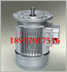 Three-phase asynchronous AC micro motor motor motor motor frequency conversion motor YS7132 750W