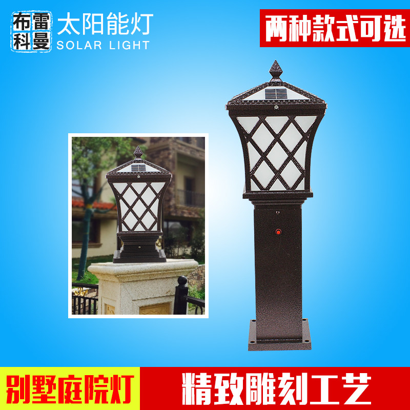 ���׿���̫���ܲ�ƺ��