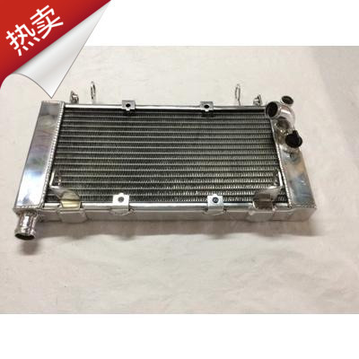 Huanglong Benari Motorcycle Water Tank Water-Cooled Radiator Bj600Gs Bn600 Modified Thickeneded Direct Sales