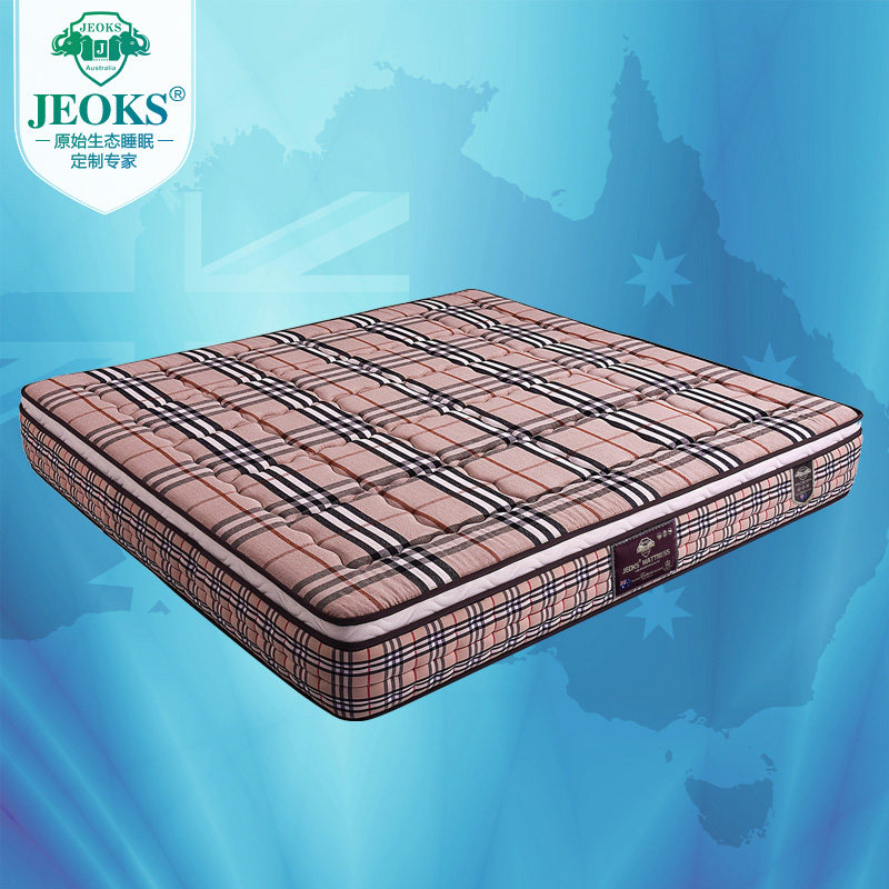 �ǿ�˹��Ȼ�齺�������