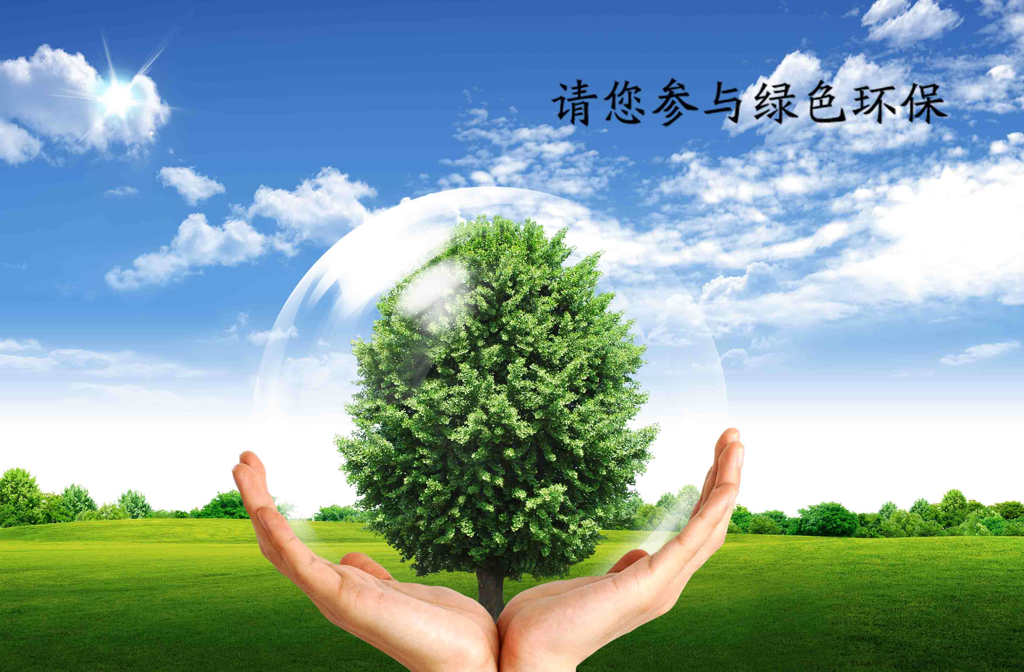 Hot selling 3D stereo business card customized green tree environmental protection protection earth green three-dimensional upright grating card RMB46  100 sheets