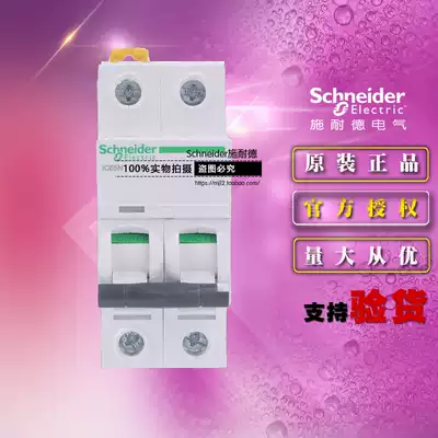 Schneider small circuit breaker IC65N 2P C63A new A9F18263 air switch original
