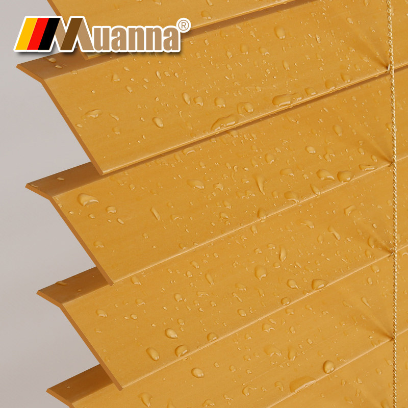 �¹�Ľ�������ͳ����ͷ�ľ��Ҷ��YN-MB21