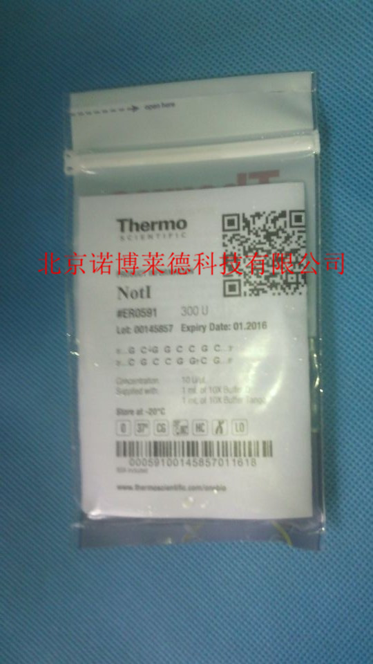 Thermo NotⅠ 300U  ER0591