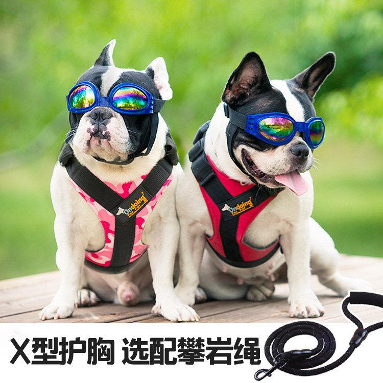 Dog traction rope chain Far Dog gold hair large dog cord dog chest strap pet supplies