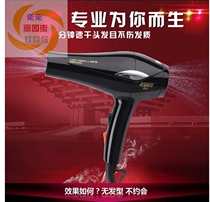 Liyuan Street Yasuo 5873 professional electric hair dryer high power barber shop blower hot and cold wind drying iron