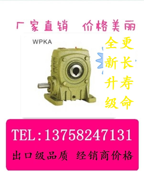 WPKA WPKS 40 50 50 70 70 80100120 worm wheel worm rod iron shell reducer WP reducer