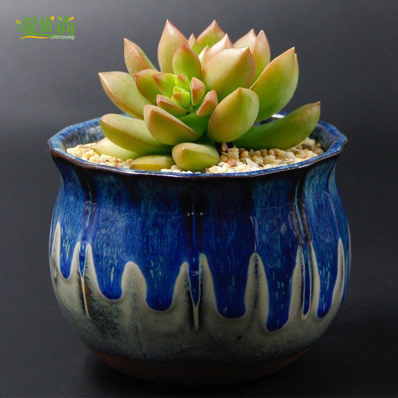 �����ж���ֲ��387