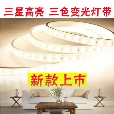 Samsung light source bright three-color variable light LED light with line light home living room bedroom suspended ceiling outdoor waterproof 220V