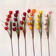 Năm hoa nhân tạo, hoa tulip, hoa chống thật, hoa giả, hoa khô, hoa, hoa trang trí, trang trí nhà, hoa - Hoa nhân tạo / Cây / Trái cây