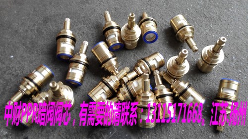 Zhongcai PPR dark valve spool