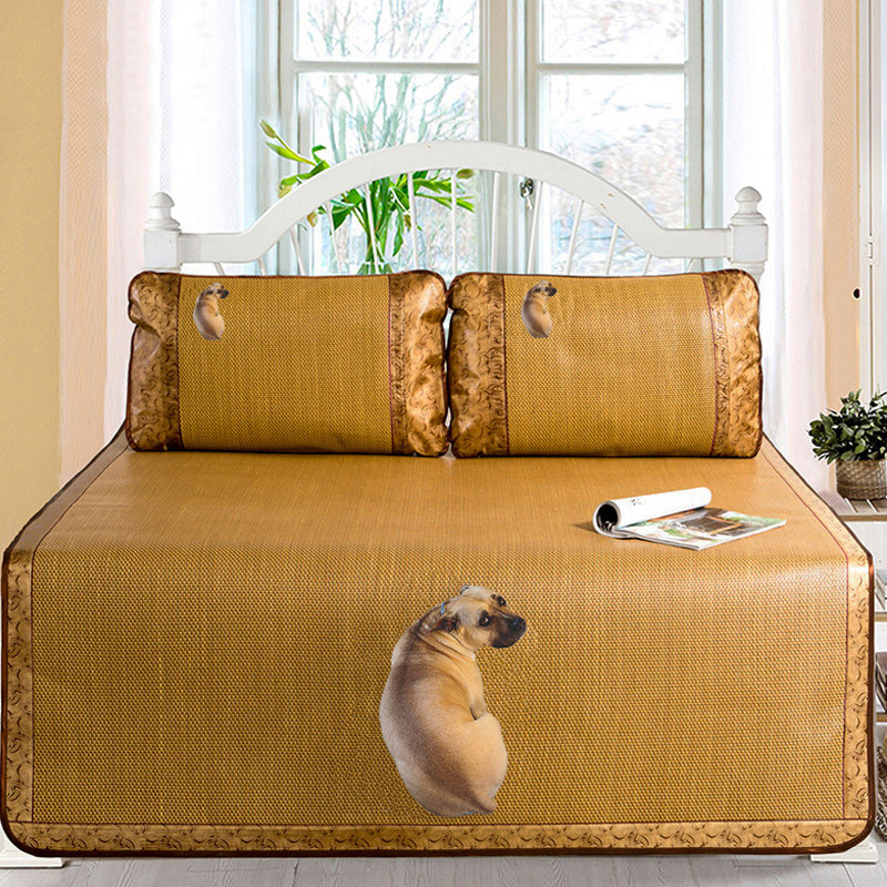 ��粹��ʿ�ͨ����ϯ������IO000012TZ