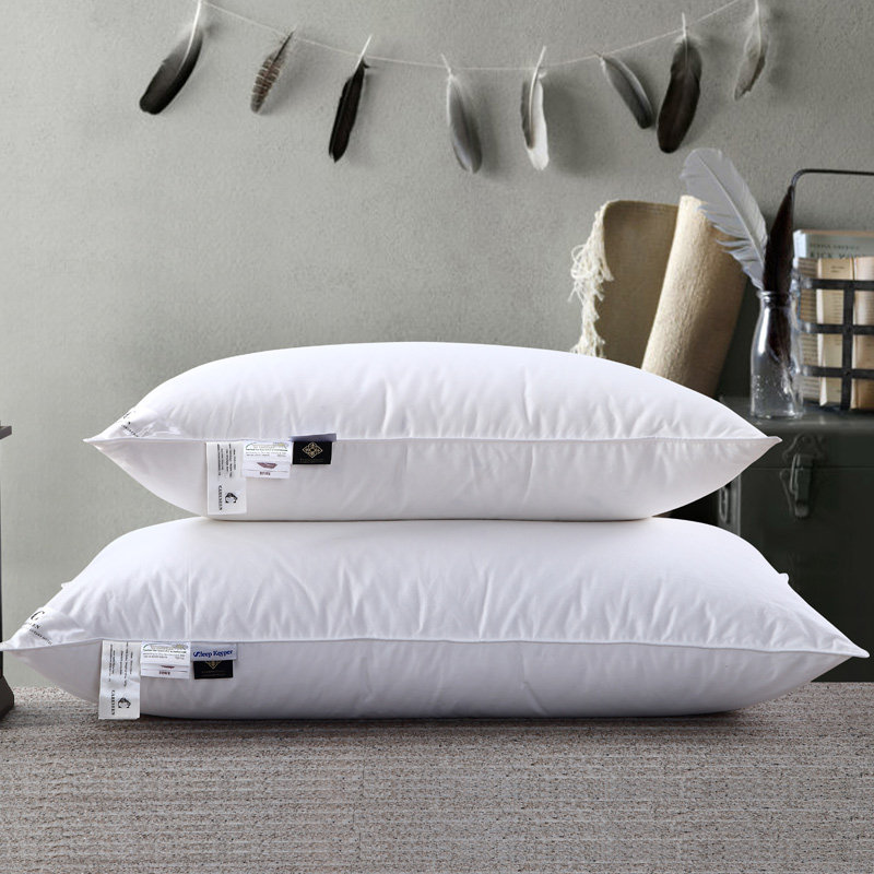 ����ܰ���Ǽ��Ƶ�������ͷ2016092879