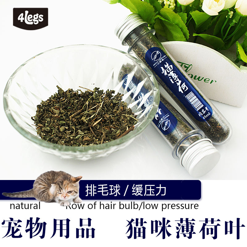 猫薄荷猫草天然猫咪用品贝多芬猫零食腐败去毛球减压助消化