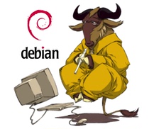 Debian OpenBSD 运维 技术支持 人工服务