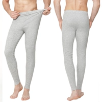 Quần cotton nam mùa thu co giãn vừa vặn Quần eo cao đến đầu gối Quần không xương mềm mại và thoáng khí thân thiện với kích thước thon gọn quan giu nhiet