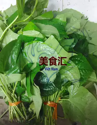 Fresh la loi clam trichosanthes, false trichosanthes leaves, 250 grams, fake konjac, stinky trichosanthes, meat and leaves, raw fried spices