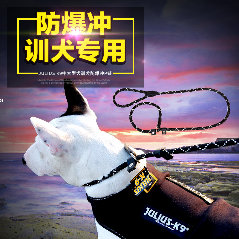 Julius K9狗狗牵引绳金毛萨摩耶中大型犬狗链子狗绳子P链宠物用品