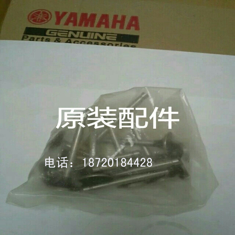 YAMAHA YAMAHA diesel group original imported generator parts EDA5000E TE exhaust valve