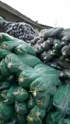 Cover soil net, sunscreen net, puffy cloth net, 4 needles, a Sun Net, 3 Needles, a Sun Net, 2 needles